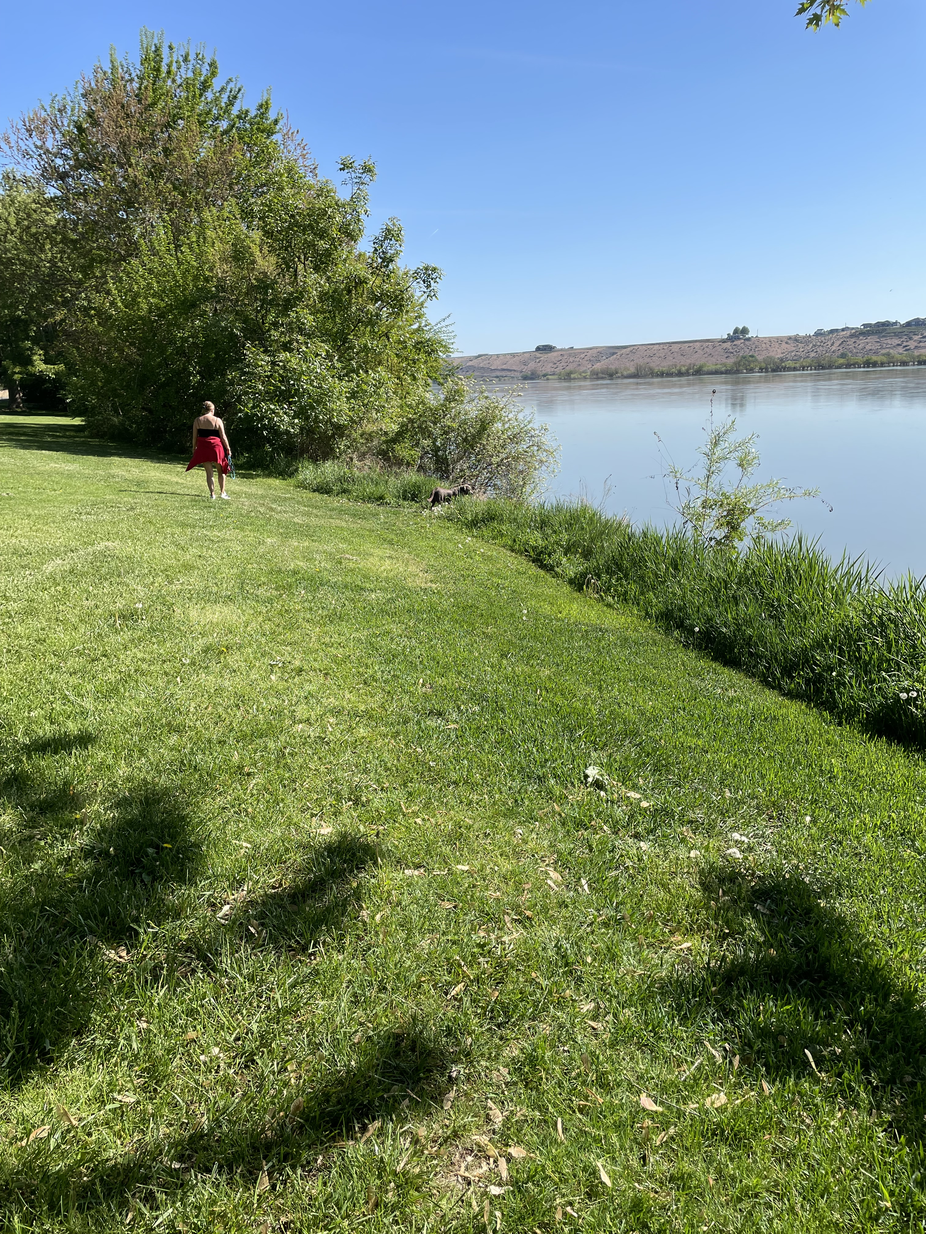 Richland council opposes a wind farm, raises and lowers speed limits, investigates toxic algae and buys a storage unit for $300k, Randy’s Rundown June 6
